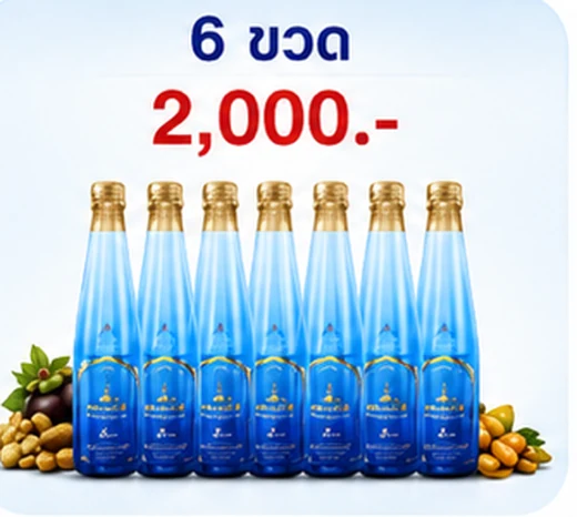 โปรโมชั่นน้ำมังคุด 6 ขวด ราคา 1,900 บาท